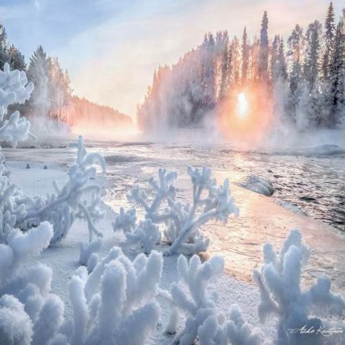 دانلود آهنگ برچسب ها فدات شم دانلود آهنگ فدات شم برچسب ها